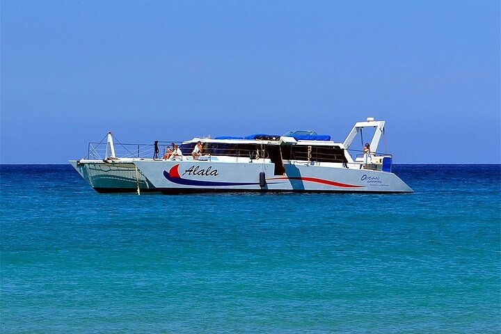 Snorkel Adventure on our Power Catamaran - Photo 1 of 7